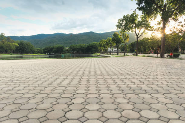 Best Driveway Paving Contractor  in Robinhood, MS