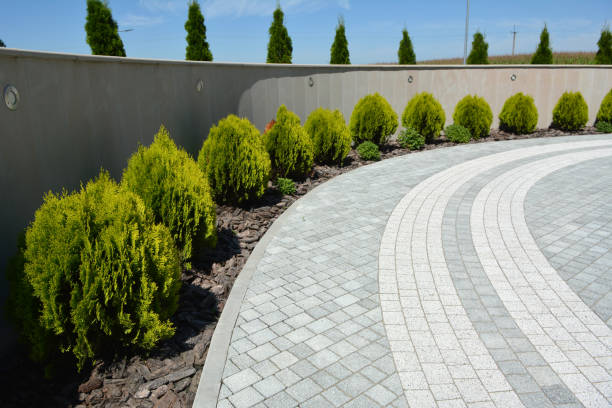 Best Residential Paver Driveway  in Robinhood, MS