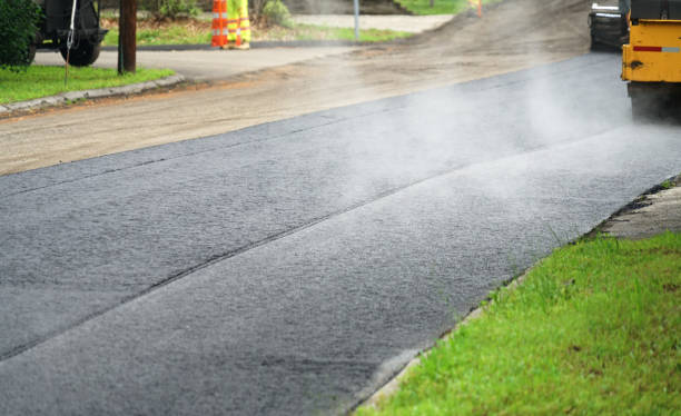Best Local Driveway Pavers  in Robinhood, MS